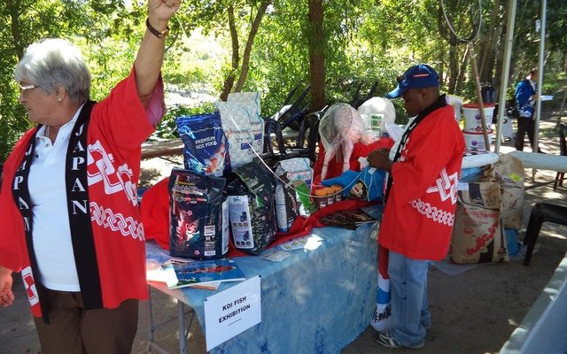 Servaas de Kock se KoiNet-stalletjie tydens die Japanse-dag in Stellenbosch wat baie aandag getrek het